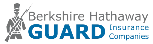 Berkshire Hathaway Insurance Company logo