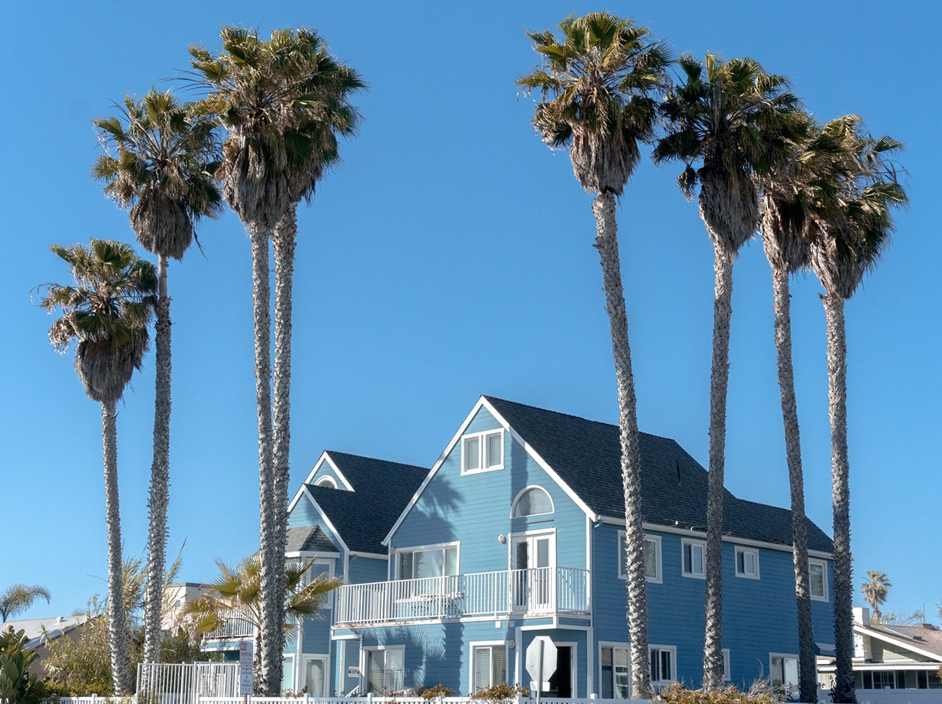 Tall palm trees in front of large blue house